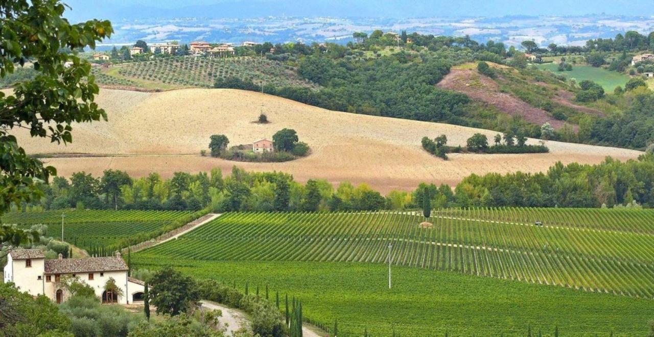 Villa Le Buche 萨尔泰阿诺 外观 照片